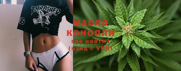 крисы Верхний Тагил
