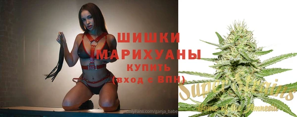 крисы Верхний Тагил