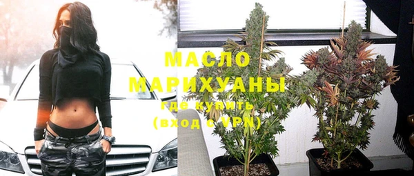 крисы Верхний Тагил