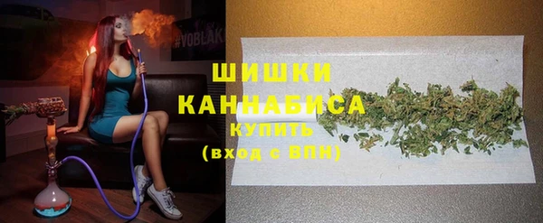 крисы Верхний Тагил