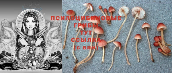 мескалин Верея